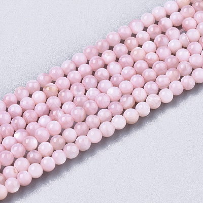 Natural Freshwater Shell Beads Strands BSHE-T009-01D-1