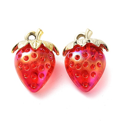 Transparent Acrylic Pendants MACR-K335-04C-01-1