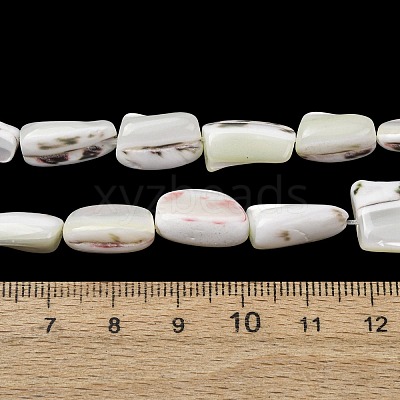 Natural Trochid Shell/Trochus Shell Beads Strands SH-CBA2978-20B-1