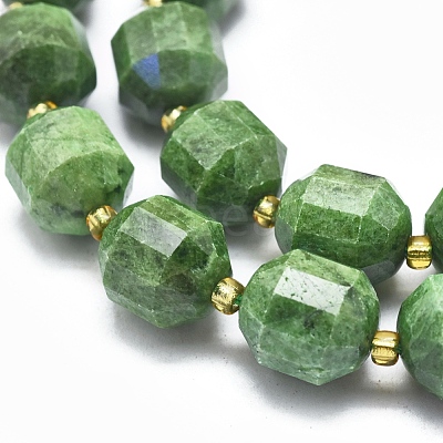 Natural Diopside Beads Strands G-K303-A10-12mm-1