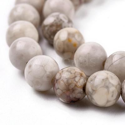 Natural Maifanite/Maifan Stone Beads Strands X-G-F353-6mm-1