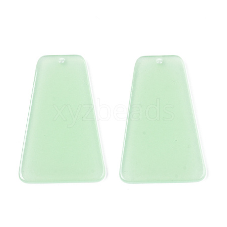 Translucent Cellulose Acetate(Resin) Pendants KY-T040-33B-1