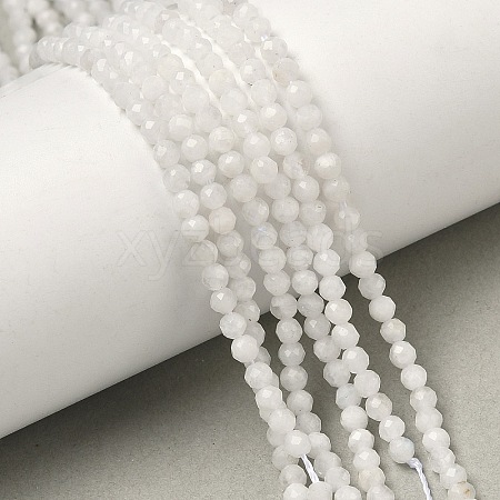Natural Rainbow Moonstone Beads Strands G-B168-A11-2mm-1