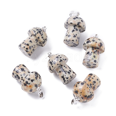 Natural Dalmatian Jasper Pendants G-M380-B09-P-1