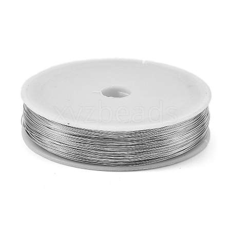 Baking Painted Iron Wire MW-NH0001-04C-1