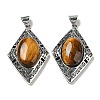 Natural Tiger Eye Big Pendants G-Z050-08C-1