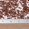 MIYUKI Delica Beads X-SEED-J020-DB1750-4