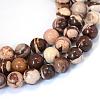 Natural Zebra Jasper Round Bead Strands G-E334-6mm-12-1