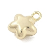 Brass Charms KK-S514-06B-G-2