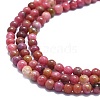 Natural Rhodonite Beads Strands G-K245-A11-02-3