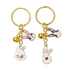 Alloy Enamel Keychain KEYC-JKC01073-2