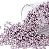 TOHO Round Seed Beads SEED-XTR08-0554-1