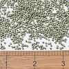 MIYUKI Delica Beads SEED-MY11-DB1170-4
