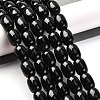 Dyed & Heated Natural Black Onyx Beads Strands G-G177-G01-01-2