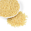 8/0 Glass Seed Beads X1-SEED-A011-3mm-142-4