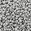 TOHO 6/0 Round Beads X-SEED-TR06-0053-3