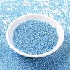MIYUKI Round Rocailles Beads SEED-G007-RR1018-2