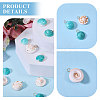 52Pcs 2 Styles Natural Shiva Eye Shell Pendants PALLOY-CA00035-4