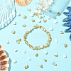2 Strands 2 Colors Natural Shell Beads Strands SHEL-CJ0001-35-6