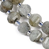 Natural Labradorite Beads Strands G-G182-B02-02-4