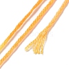 10 Skeins 6-Ply Polyester Embroidery Floss OCOR-K006-A48-3