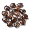 Natural Petrified Wood Beads Strands G-C150-A08-01-4