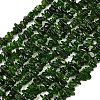 Natural Green Diopside Beads Strands G-P615-B01-01-2