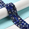 Natural Lapis Lazuli Beads Strands G-C109-A17-02-2