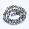 Dyed & Natural African Turquoise(Jasper) Beads Strands G-D855-06-8mm-2