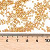 MIYUKI Delica Beads X-SEED-J020-DB2303-3