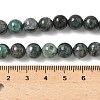 Natural Dioptase Beads Strands G-D302-02-8mm-5