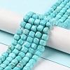 Natural Howlite Beads Strands G-G001-A01-02-2