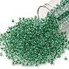 TOHO Round Seed Beads SEED-TR08-0343-1