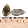 Natural Labradorite Pendants G-M440-01F-3