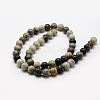 Natural Polychrome Jasper/Picasso Stone/Picasso Jasper Bead Strands G-G667-01-8mm-2