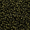 TOHO 6/0 Round Beads X-SEED-TR06-0617-4