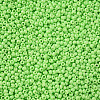 11/0 Grade A Baking Paint Glass Seed Beads X-SEED-N001-A-1023-2