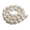 Teardrop Shell Pearl Bead Strands BSHE-L015-12x16-01-5