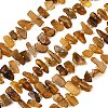Natural Amber Beads Strands G-P619-A02-01-2