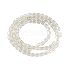 Electroplate Glass Beads Strands EGLA-D031-01R-5