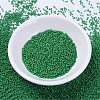 MIYUKI Delica Beads SEED-MY11-DB0655-2