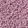 MIYUKI Round Rocailles Beads X-SEED-G009-RR2024-2