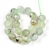 Natural Prehnite Beads Strands G-S345-10mm-28-3