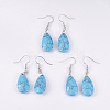 Natural & Synthetic Mixed Stone Dangle Earrings EJEW-P150-A-2