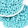 Baking Paint Pearlized Glass Seed Beads SEED-T008-03Q-1