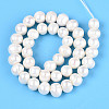 Natural Cultured Freshwater Pearl Beads Strands PEAR-N013-10D-01-2