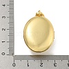 Brass Cubic Zirconia Locket Pendants KK-N254-93C-G-3