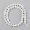 Electroplated Natural White Moonstone Beads Strands G-S369-012C-C-2