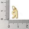 Rack Plating Brass Charms KK-P245-06G-R-3