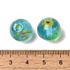 Handmade Transparent Lampwork Beads LAMP-C016-04D-02-3